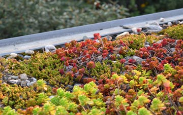 the cost of Woughton On The Green green roof installation