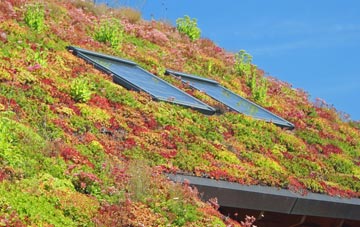Woughton On The Green living roof systems